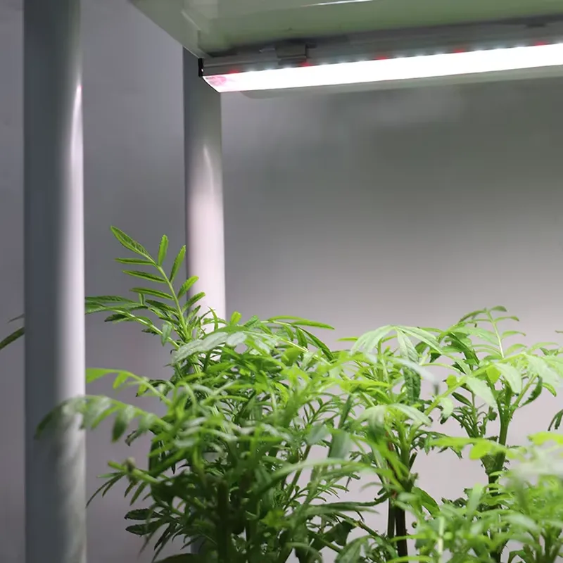 Smart Garden Vertical - Hareketli Dikey 3 Katlı Kendi Kendine
