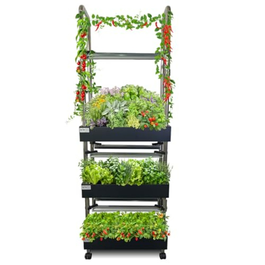 Smart Garden Vertical - İç mekan hidroponik yetiştirme sistemi: akıllı