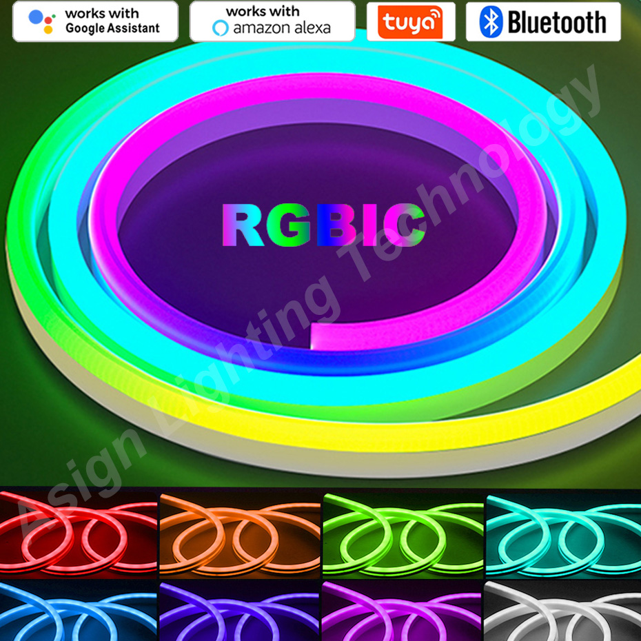 Smart Led Garden - RGBIC LED Neon şerit 12V 96LEDs/M
