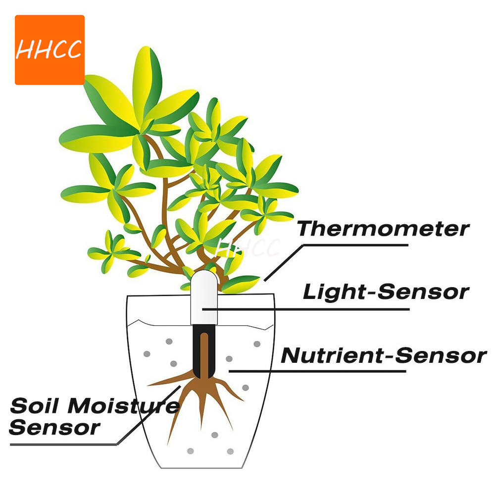 HHCC çiçek bakımı akıllı bitki - Smart Garden Xiaomi incelemesi ve fiyatı