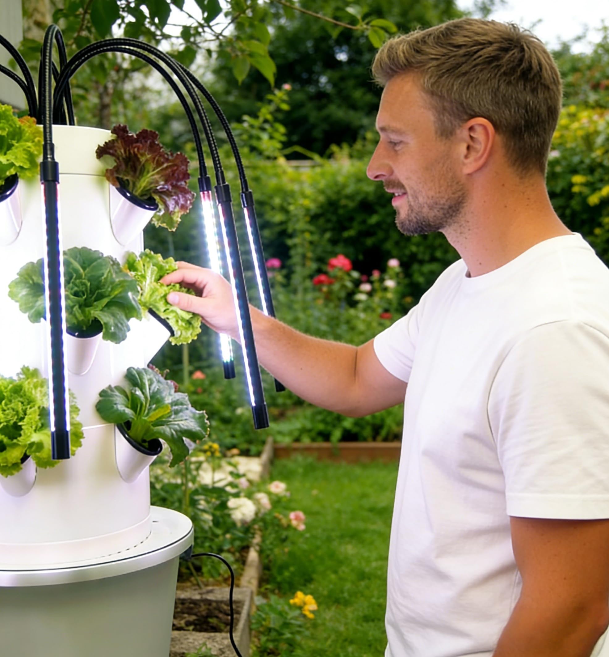Dikey Hidroponik Yetiştirme Si - Smart Garden Vertical incelemesi ve fiyatı