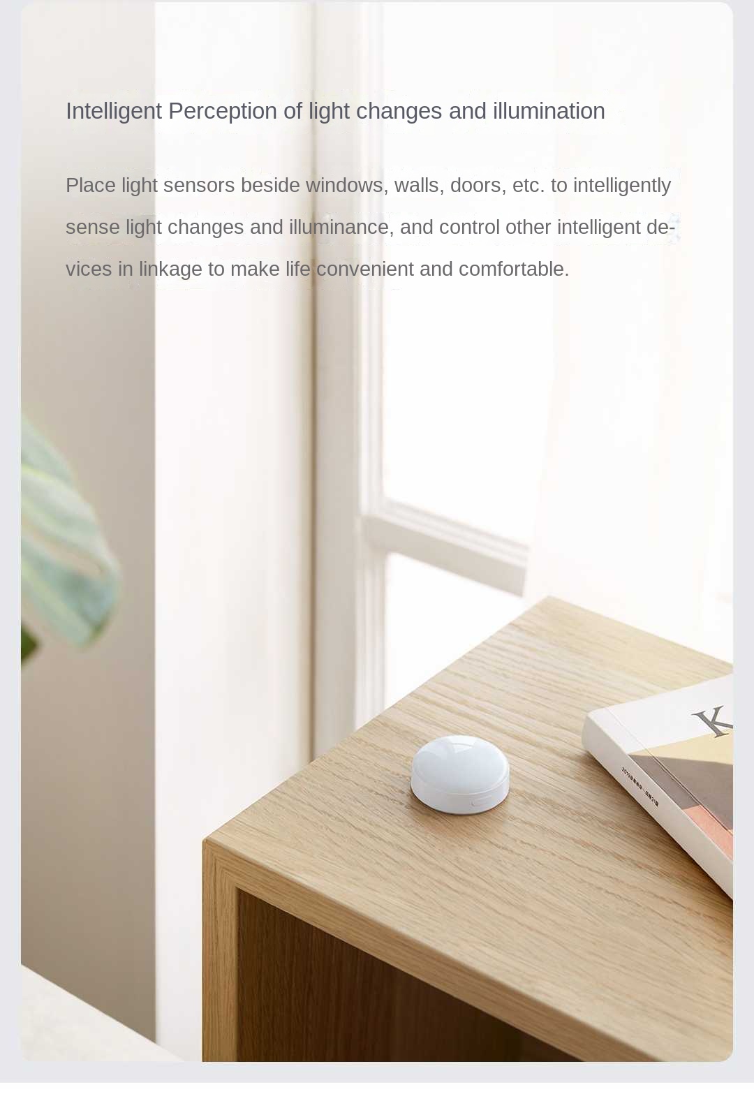 Aqara Işık sensörü T1 Zigbee 3 - Smart Garden Xiaomi incelemesi ve fiyatı