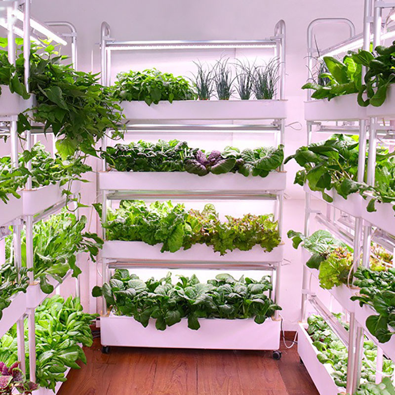 Topraksız Yetiştirme Sistemi D - Smart Garden Vertical incelemesi ve fiyatı