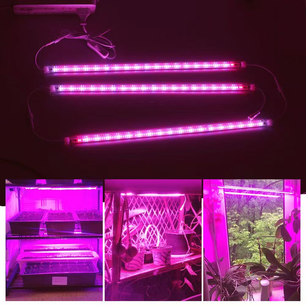 12 İnç LED Bitki Yetiştirme Iş - Led Plant Light Strip incelemesi ve fiyatı