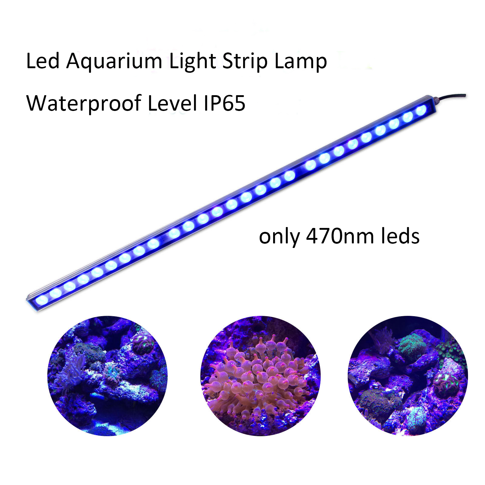 54W 81W 108W LED çubuk ışığı I - Led Plant Light Strip incelemesi ve fiyatı