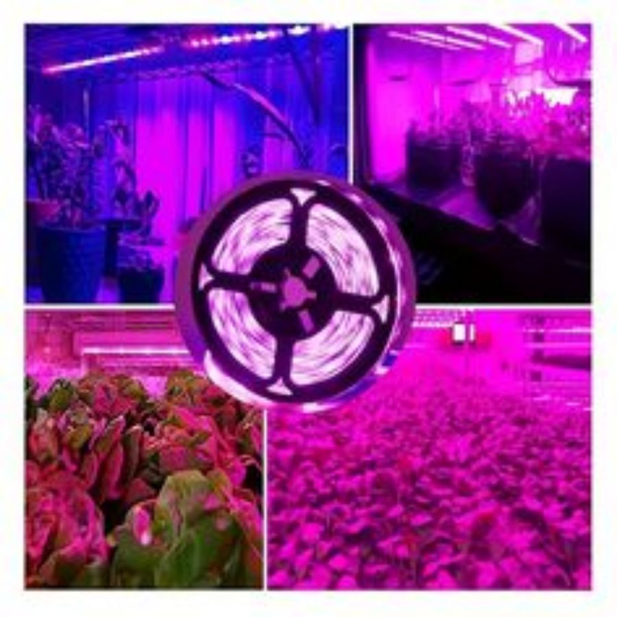 1M/2M/3M/5M/10M LED Tam Spektr - Led Plant Light Strip incelemesi ve fiyatı