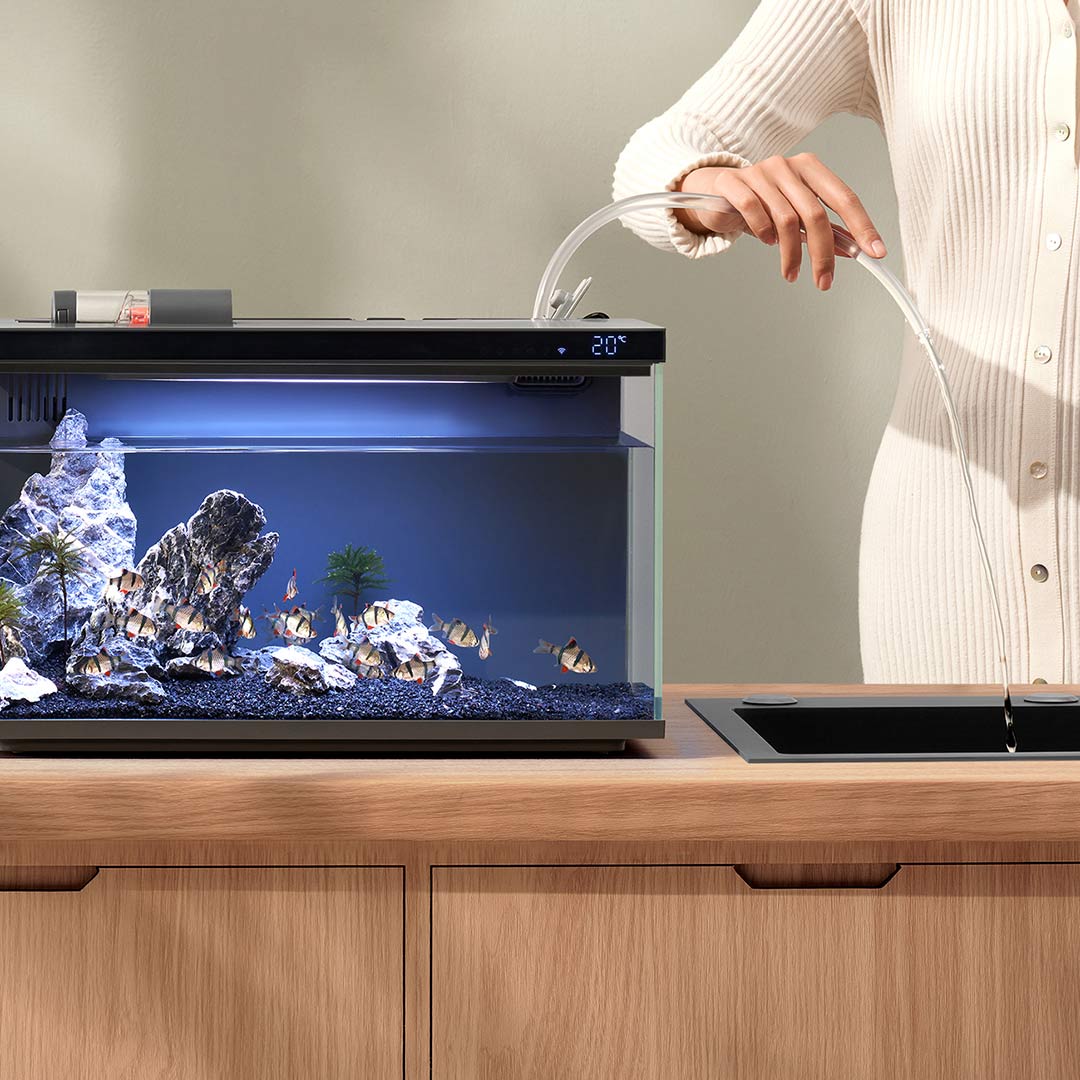 Xiaomi Mijia Akıllı Balık Tank - Smart Garden Xiaomi incelemesi ve fiyatı