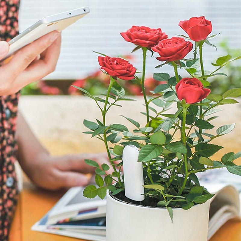 HHCC Çiçek Bakımı Akıllı Bitki - Smart Garden Xiaomi incelemesi ve fiyatı